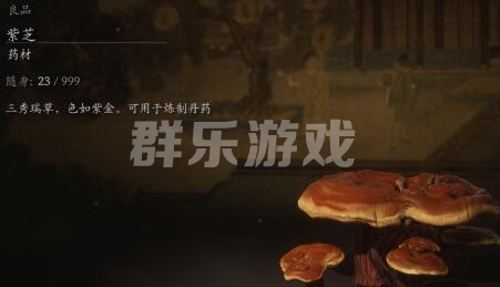 黑神话悟空背包里面的药品怎么快速切换