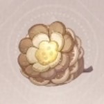 无限暖暖纽扣松果怎么采集 纽扣松果位置介绍