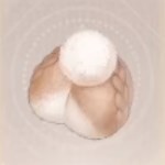 无限暖暖汪汪毛线怎么获得 汪汪毛线在哪里收集