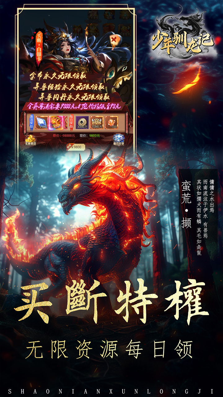 少年驯龙记0.05折高返版截图