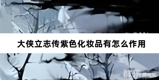 大侠立志传紫色化妆品有怎么作用