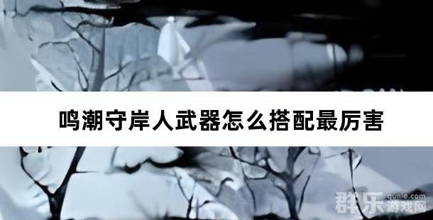 鸣潮守岸人武器怎么搭配最厉害