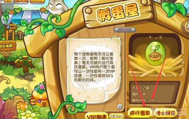 洛克王国宠物怎么获得 洛克王国如何孵化宠物 洛克王国宠物怎么获得 洛克王国如何孵化宠物