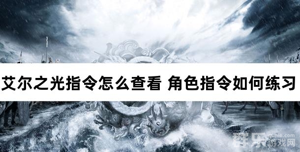 艾尔之光指令怎么查看 角色指令如何练习 艾尔之光指令怎么查看 角色指令如何练习