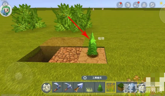 迷你世界怎么培养种植植物 植物种植方法介绍