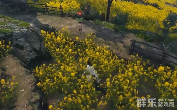 逆水寒手游缉鸡记奇遇任务怎么做 任务过关方法 逆水寒手游缉鸡记奇遇任务怎么做 任务过关方法