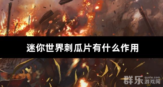 迷你世界刺瓜片有什么作用