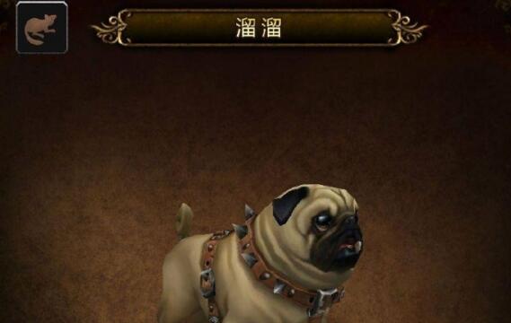 魔兽世界溜溜宠物狗怎么获得 溜溜获取方法详解